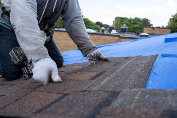Best Flat Roof Repair Services  in Lipscom, AL